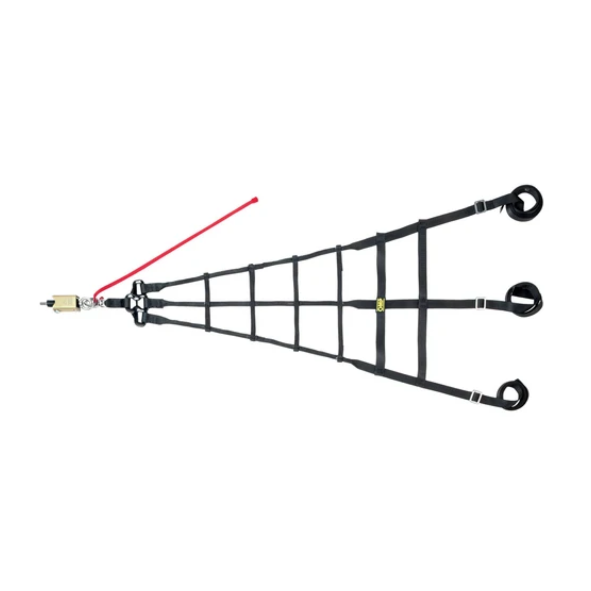 The OMP Professional Driver Side Net.
