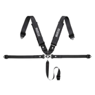 The Sparco Club H-4R 3" 5-Point Street Harness.